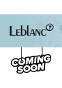 Consignment Leblanc Espirit Bb Clarinet