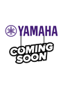 Consignment Yamaha YAS-82Z Alto Saxophone