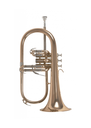 Schagerl 850 Bb Flugelhorn