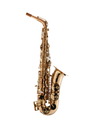 Schagerl 355 Advanced Student Eb Alto Saxophone - Lacquered