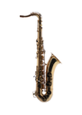 Schagerl 355 Advanced Student Bb Tenor Saxophone